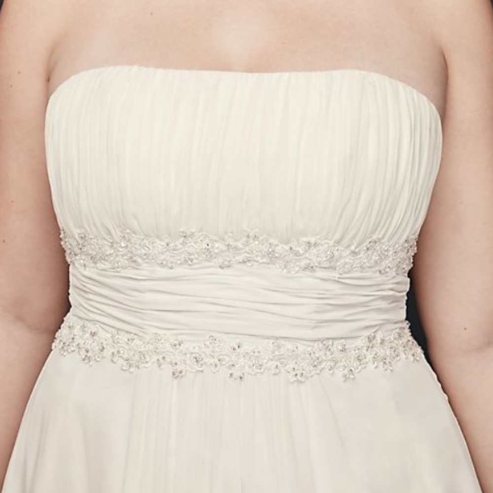 Chiffon Empire Waist Plus Size Wedding Dress